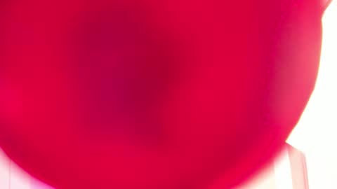 Snapshot of sabrinawarren chatting on February 27, 2025, 11:41 am Sabrina Warren online show from February 27, 2025, 11:41 am
