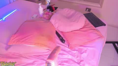 Snapshot of saekohofman chatting on November 15, 2025, 6:11 am Mara online show from November 15, 2025, 6:11 am