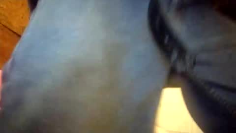 Penoso online show from December 23, 2025, 2:31 am