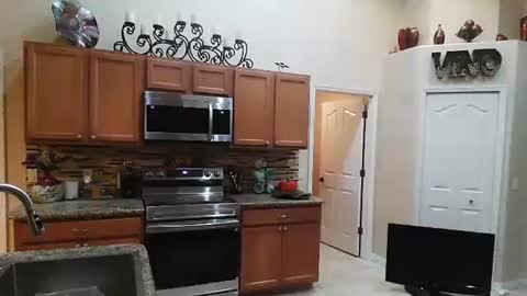 Snapshot of sam_papithebarber chatting on November 6, 2025, 4:24 am sam_papithebarber online show from November 6, 2025, 4:24 am