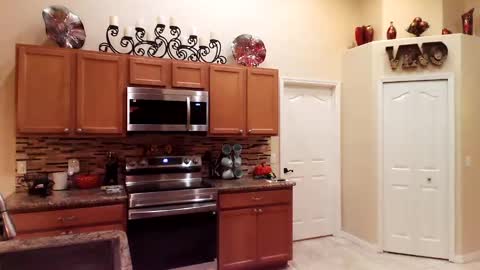 Snapshot of sam_papithebarber chatting on November 15, 2025, 9:28 am sam_papithebarber online show from November 15, 2025, 9:28 am