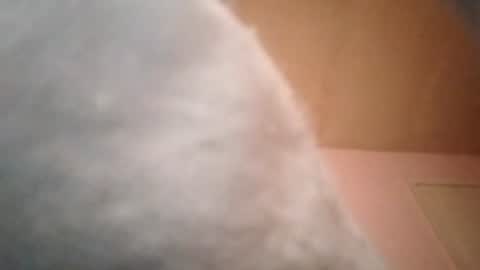 samehindss online show from July 21, 2026, 5:21 am
