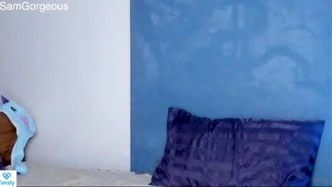 Snapshot of samgorgeous chatting on January 30, 2025, 3:29 pm Fansly - Top4fans online show from January 30, 2025, 3:29 pm