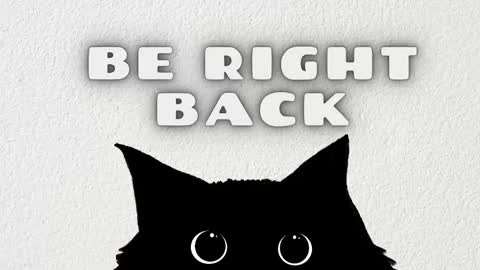 Sami and Lee online show from February 8, 2026, 11:46 am