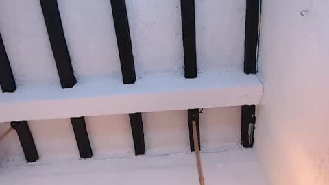 Sammy  online show from February 20, 2026, 2:30 am