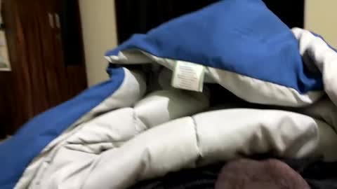 Snapshot of samnivin chatting on December 1, 2025, 7:19 pm samnivin online show from December 1, 2025, 7:19 pm