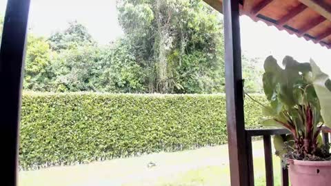 Samuel online show from December 12, 2024, 6:42 pm