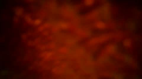 samueltal online show from September 16, 2025, 12:11 am