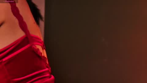 Snapshot of sandrasilverx chatting on October 11, 2025, 6:17 pm Sandra online show from October 11, 2025, 6:17 pm