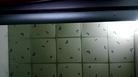 santichai561323 online show from February 19, 2025, 2:01 am