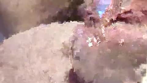 sappyhaha online show from November 12, 2025, 11:21 am