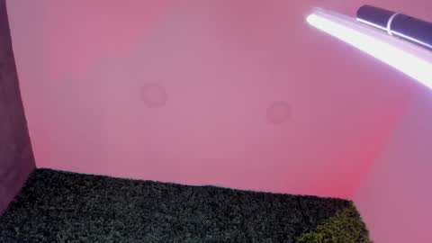 Sarah Bonneth online show from February 26, 2026, 11:53 am