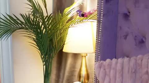 Snapshot of saraiangel chatting on July 14, 2026, 3:55 am Sarai online show from July 14, 2026, 3:55 am