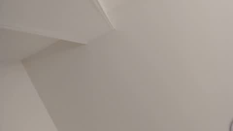   online show from February 11, 2025, 11:10 am