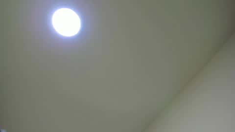   online show from February 24, 2025, 11:54 am