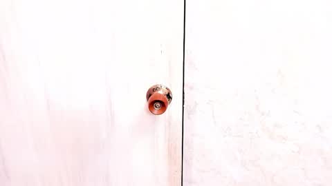 Sasha  online show from November 2, 2025, 8:11 pm