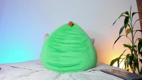     online show from November 14, 2025, 8:35 am