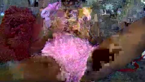 savagetonguee online show from December 23, 2025, 7:50 am