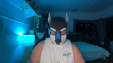 Snapshot of sc212 chatting on February 22, 2026, 12:15 pm Sunny Coast online show from February 22, 2026, 12:15 pm