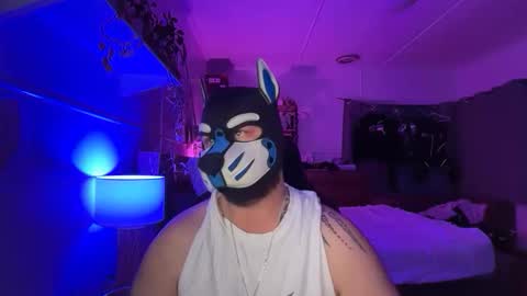 Snapshot of sc212 chatting on March 15, 2026, 2:45 pm Sunny Coast online show from March 15, 2026, 2:45 pm