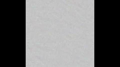 Venus online show from October 19, 2025, 4:07 pm