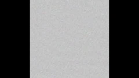 Venus online show from November 9, 2025, 12:47 pm