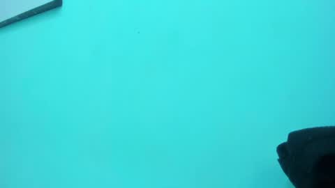 Snapshot of scarlett_fox20 chatting on May 13, 2026, 1:30 pm scarlett_fox20 online show from May 13, 2026, 1:30 pm