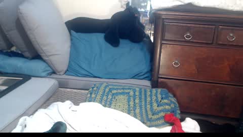 Snapshot of scarlotta chatting on January 24, 2025, 9:05 pm Scarlotta online show from January 24, 2025, 9:05 pm