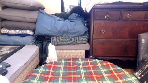 Snapshot of scarlotta chatting on February 8, 2025, 9:36 pm Scarlotta online show from February 8, 2025, 9:36 pm