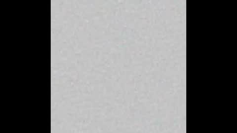 Scolw  online show from December 19, 2025, 12:01 pm