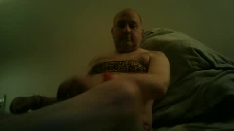 Snapshot of scottforfuhn chatting on February 8, 2026, 12:52 pm scottforfuhn online show from February 8, 2026, 12:52 pm