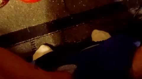 Snapshot of scruples99273286 chatting on October 5, 2025, 8:34 am scruples99273286 online show from October 5, 2025, 8:34 am