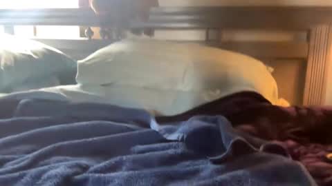 Skylar87 online show from December 15, 2024, 6:26 pm