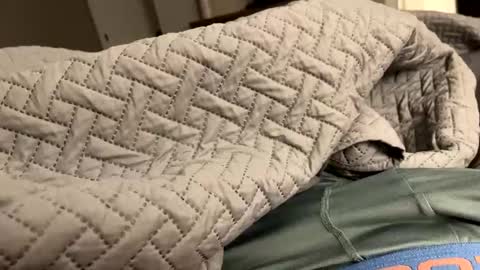 secretlyseductive9399 online show from December 8, 2024, 1:14 pm