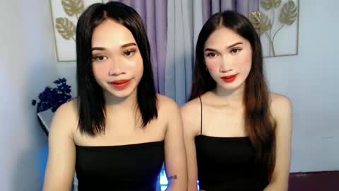 your miss universe kim online show from November 25, 2025, 7:08 am