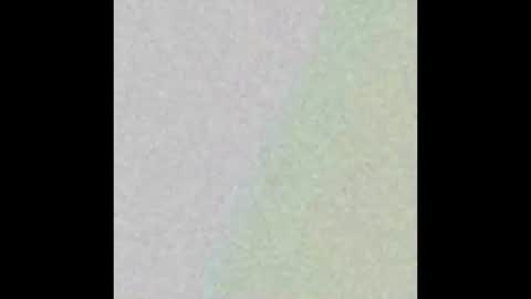 seewolf1000 online show from October 26, 2025, 12:33 pm