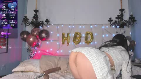 Snapshot of selenee__ chatting on December 18, 2024, 3:55 pm Selenee online show from December 18, 2024, 3:55 pm