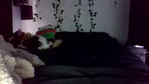 Lauren online show from April 22, 2026, 9:16 pm