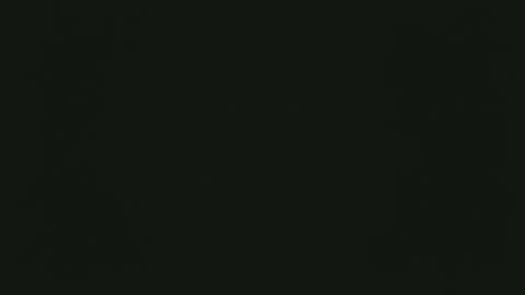 selfpound online show from December 15, 2025, 4:33 pm