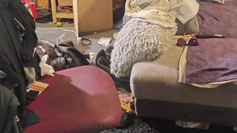 BiG DicK online show from April 8, 2026, 7:08 am