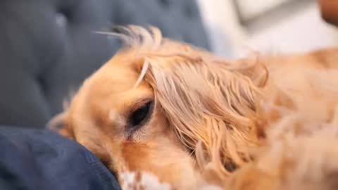 Snapshot of senssual_goddess chatting on October 7, 2025, 4:37 pm senssual_goddess online show from October 7, 2025, 4:37 pm