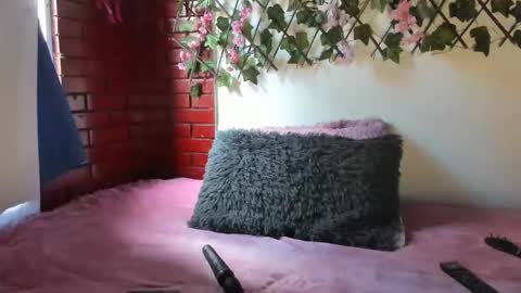 cristal online show from February 19, 2026, 6:48 pm