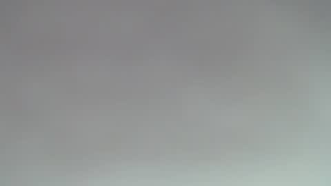 ROSE online show from November 1, 2025, 10:12 pm