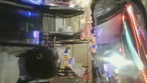 Snapshot of sequoia8888 chatting on October 29, 2025, 7:26 pm sequoia8888 online show from October 29, 2025, 7:26 pm