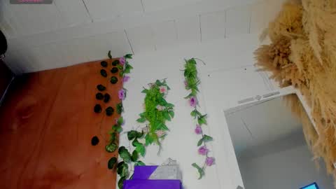 sexking_david online show from December 22, 2025, 11:02 pm