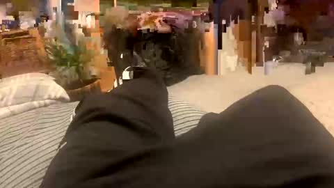 sexpest32 online show from January 18, 2026, 9:07 pm