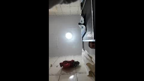 sexshyfun online show from January 16, 2026, 2:37 am