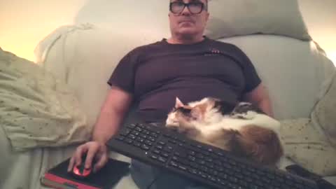 Sexurbation online show from November 17, 2025, 8:14 pm