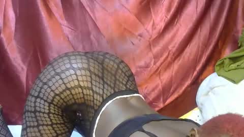 Snapshot of sexxy_triza chatting on September 21, 2025, 6:15 am triza online show from September 21, 2025, 6:15 am