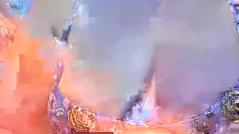 Snapshot of sexxyicee69 chatting on March 2, 2025, 10:45 am misslovely j online show from March 2, 2025, 10:45 am